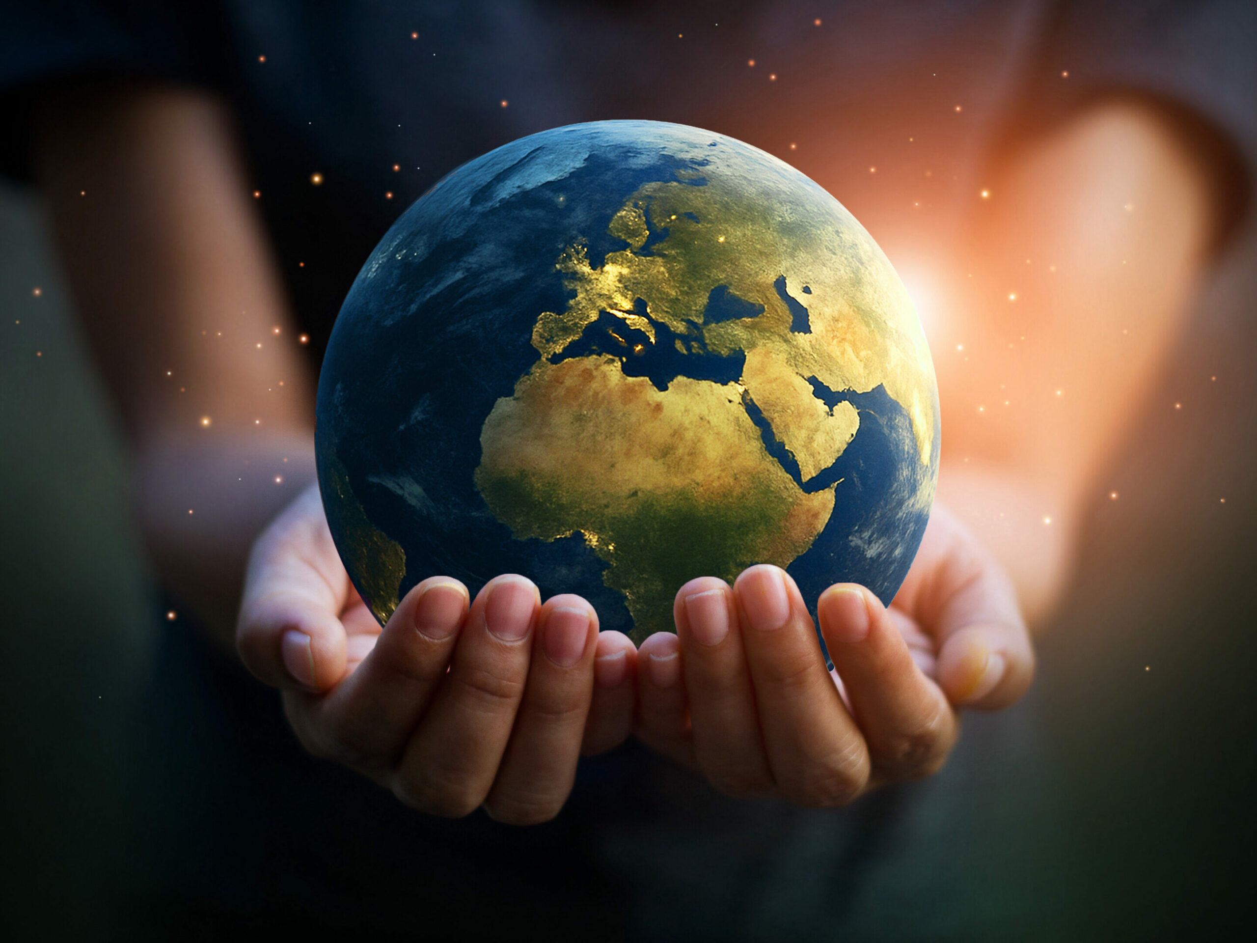 Försäljningsansvarig för nytt marknadssegment